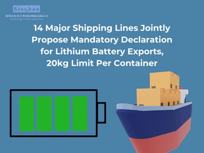 14 Major Shipping Lines Jointly Propose Mandatory Declaration For Lithium Bat...